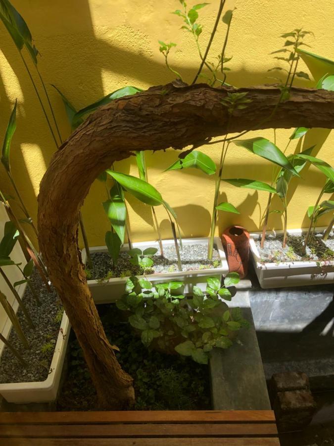 Leranda Homestay Hué Extérieur photo